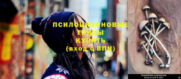 синтетический гашиш Киреевск