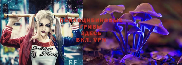 тгк Кинешма