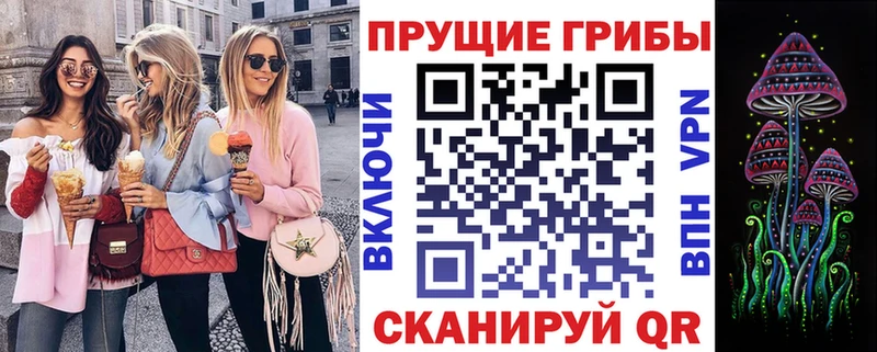Купить  Белебей  Галлюциногенные грибы Psilocybe 